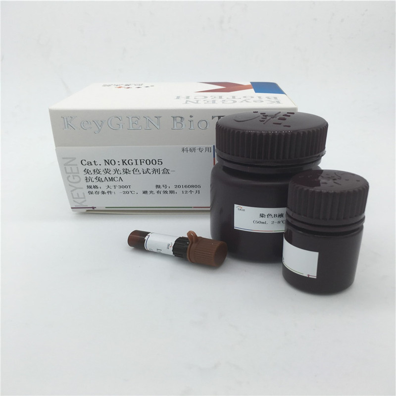 免疫荧光染色试剂盒-抗兔AMCAKGIF005