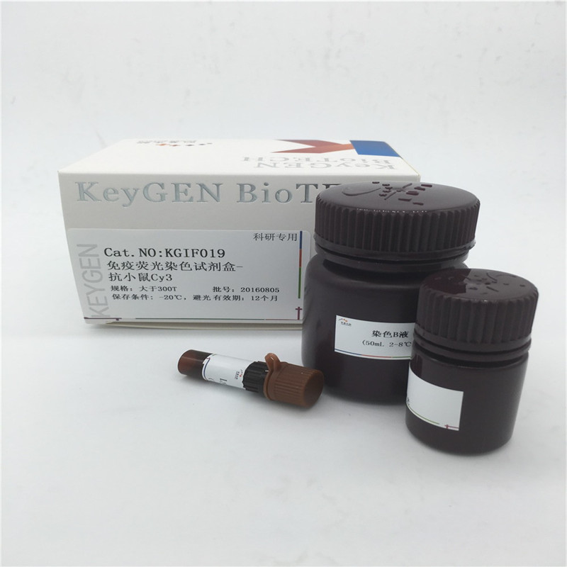 免疫荧光染色试剂盒-抗小鼠Cy3  KGIF019