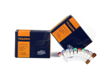 Hieff NGS® MaxUp II 双模式mRNA 建库试剂盒