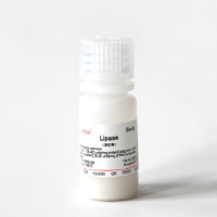 脂肪酶 Lipase 供应