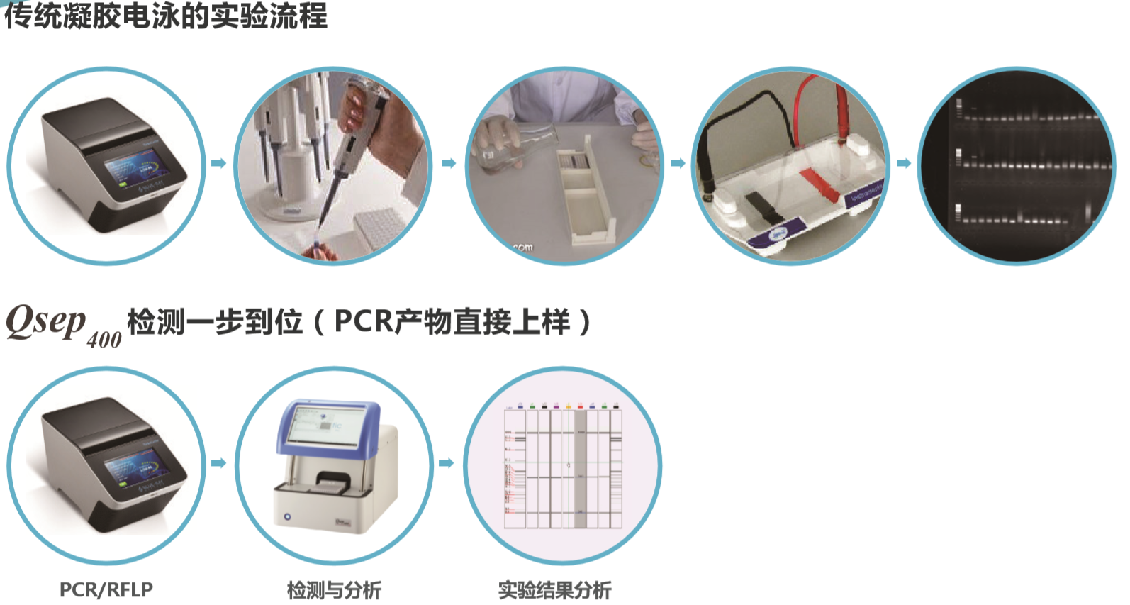 Qsep400高通量生物片段分析仪