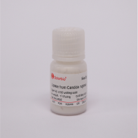 Lipase 脂肪酶 （三酰基甘油脂肪酶 三酰基甘油酰基水解酶）TYPE VII