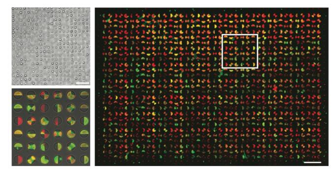 技术资料图片10