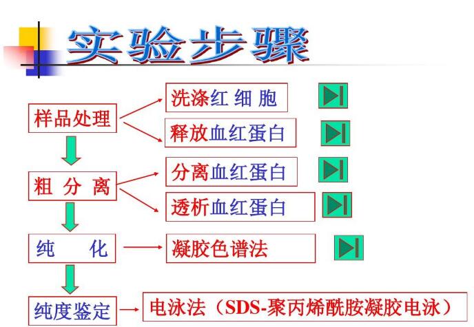 5×考马斯亮蓝G- 250(蛋白定量用)