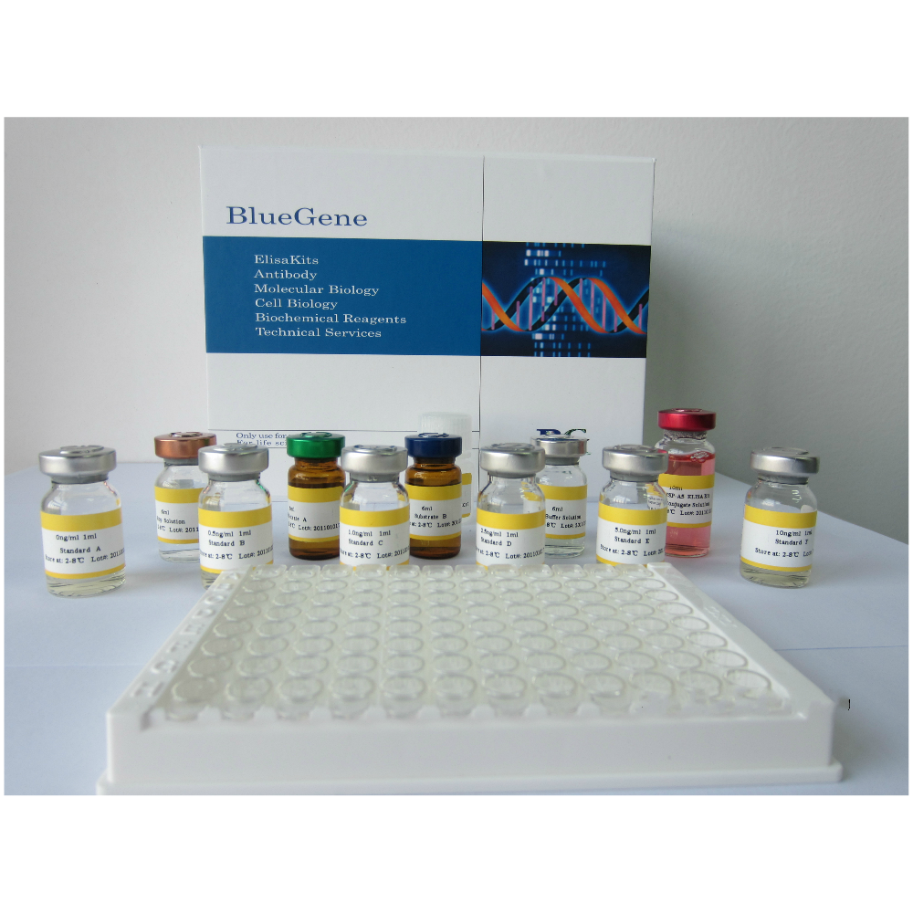 Human Caspase 3(CASP3) ELISA kit/人活化半胱胺酸蛋白酶蛋白-3酶联免疫检测试剂盒