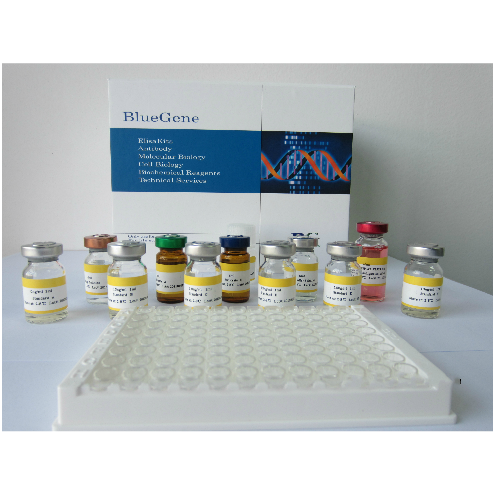 Human Endothelial Nitric Oxide Synthase(eNOS) ELISA kit/人内皮型NO酶酶联免疫检测试剂盒