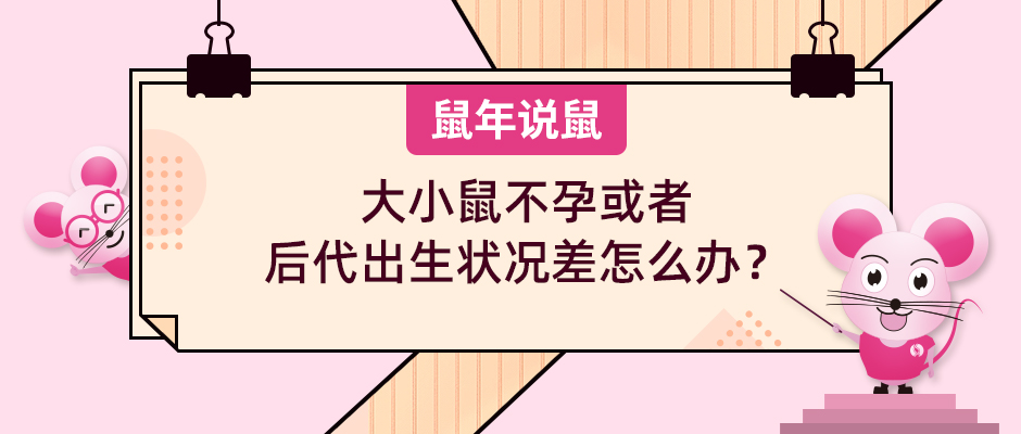 《鼠年说鼠》第五期：大小鼠不孕或者后代出生状况差怎么办？