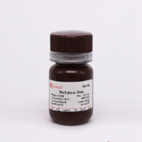 Methylene Blue 次亚甲基蓝