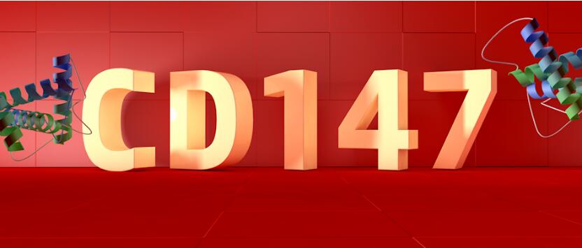 新冠靶点新视角四：跨膜糖蛋白CD147