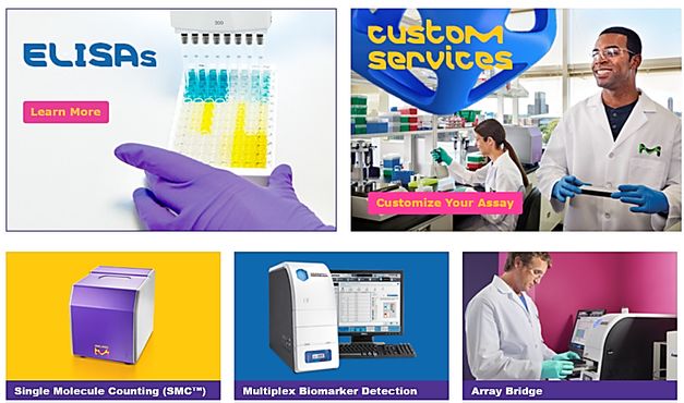 「低至尘埃」的细胞因子，这些研究区域不可忽视