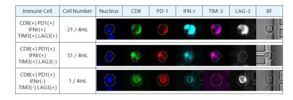 技术资料图片15