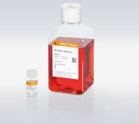 NK细胞高效扩增培养基 NK MACS Medium