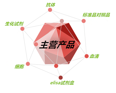 抗DNA酶B抗体试剂盒优质供应商