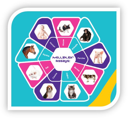 警惕新冠肺炎下的「细胞因子风暴」，这些整理或许可以帮到你