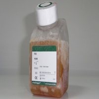 Hyclone胎牛血清(产地:澳洲血源 货号:SH30084.03)