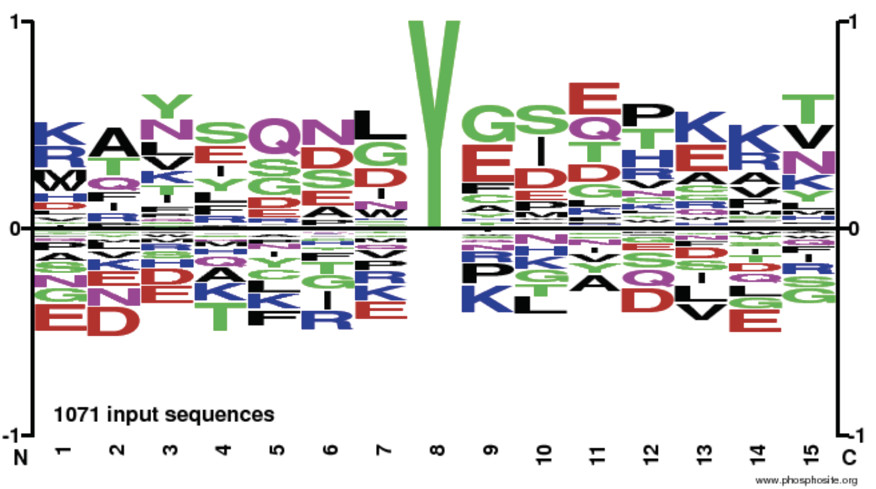 3404403649672383180-14.jpg