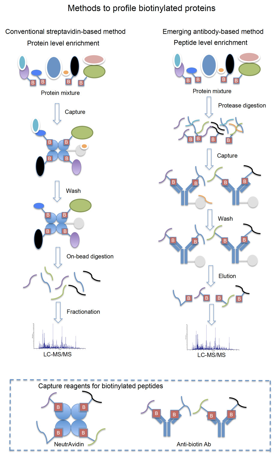 蛋白互作结合力弱?瞬时结合?蛋白质组学新方法各个击破! - 技术前沿 -