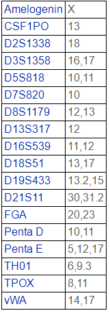 B-CPAP[BC-PAP; BCPAP]人甲状腺癌细胞