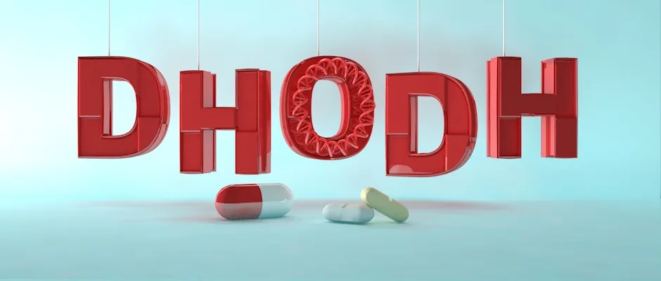 新冠靶点新视角五：靶向宿主的抗病毒药物靶点DHODH