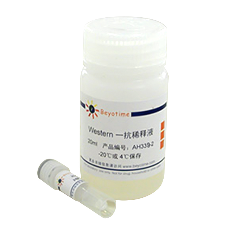 PCNA Mouse Monoclonal Antibody