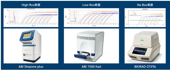 精品推荐▏性能怪兽，集体验度和满意度于一身的qPCR预混液