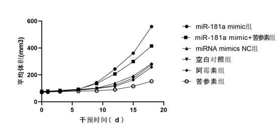 新闻图片1