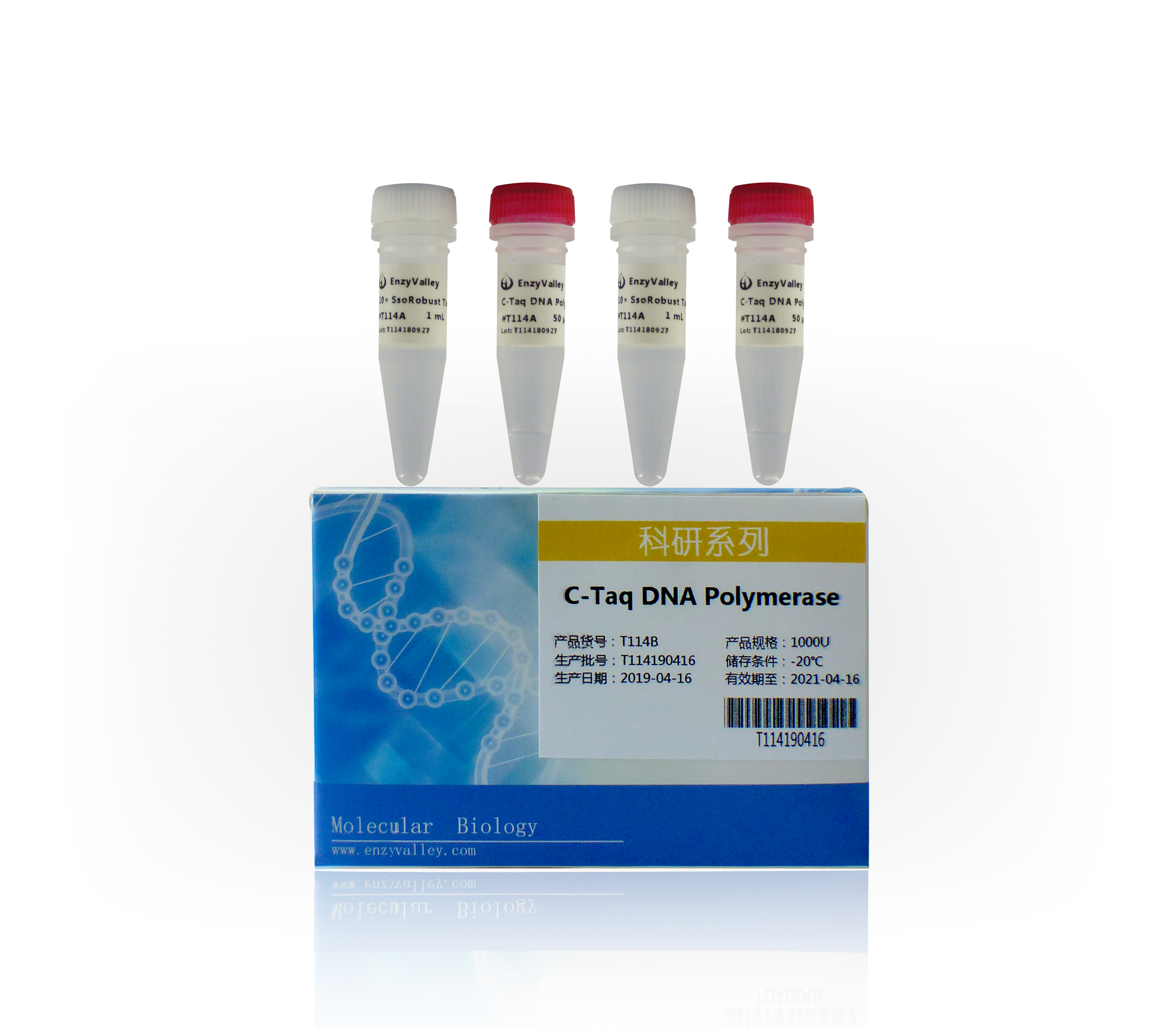 熱啟動DNA聚合酶：C-Taq DNA Polymerase