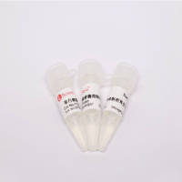 (All-in-one,100x)蛋白磷酸酶抑制剂混合物