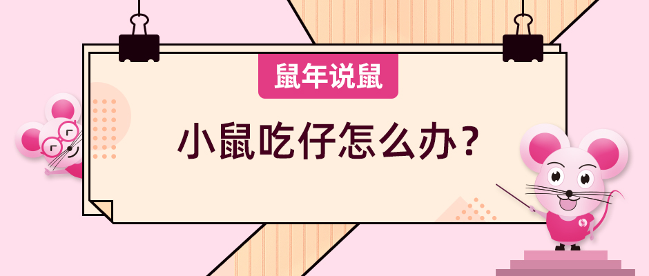 《鼠年说鼠》第六期：小鼠吃仔怎么办？