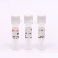 pET-32a(+) 质粒 现货供应