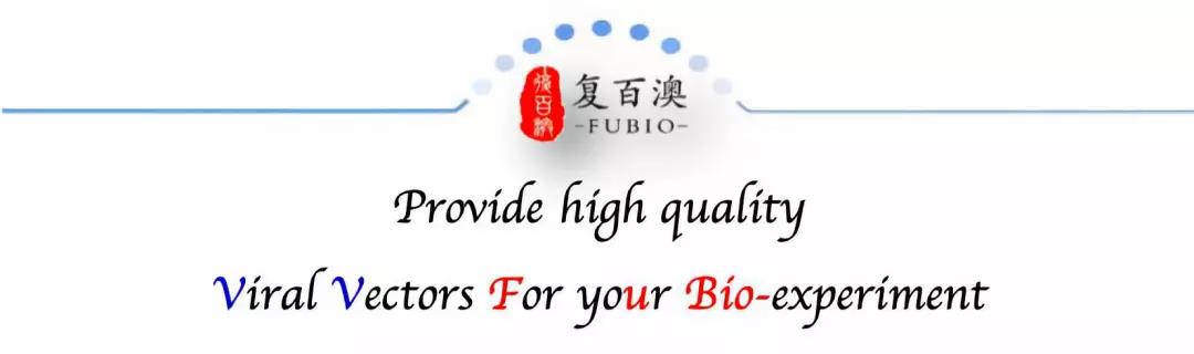 CELL子刊丨PERK抑制剂GSK2606414增强呼肠孤溶瘤病毒对头颈部鳞癌的治疗效果