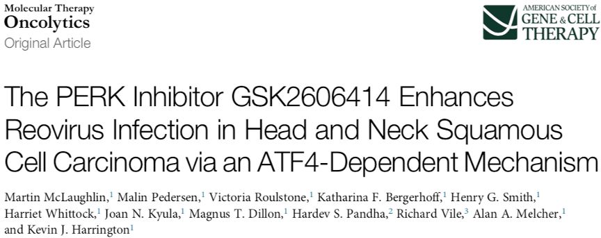 CELL子刊丨PERK抑制剂GSK2606414增强呼肠孤溶瘤病毒对头颈部鳞癌的治疗效果
