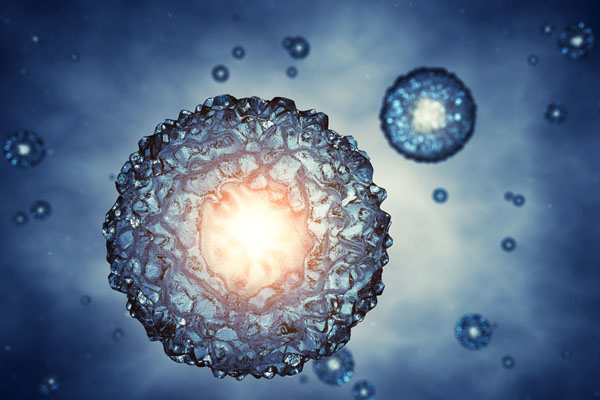 人类T细胞杂交瘤细胞图片