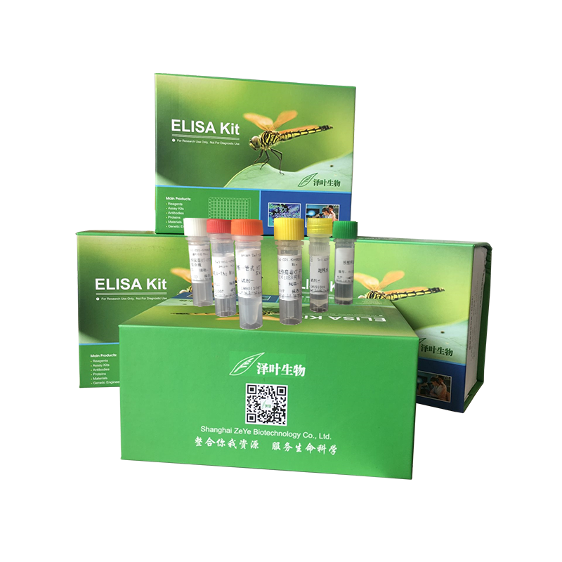 拉沙热病毒(LASV)荧光定量RT-PCR试剂盒(染料法)