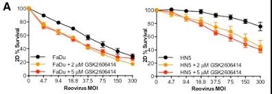 CELL子刊丨PERK抑制剂GSK2606414增强呼肠孤溶瘤病毒对头颈部鳞癌的治疗效果