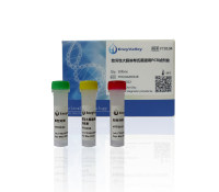 致泻性大肠埃希氏菌通用PCR试剂盒