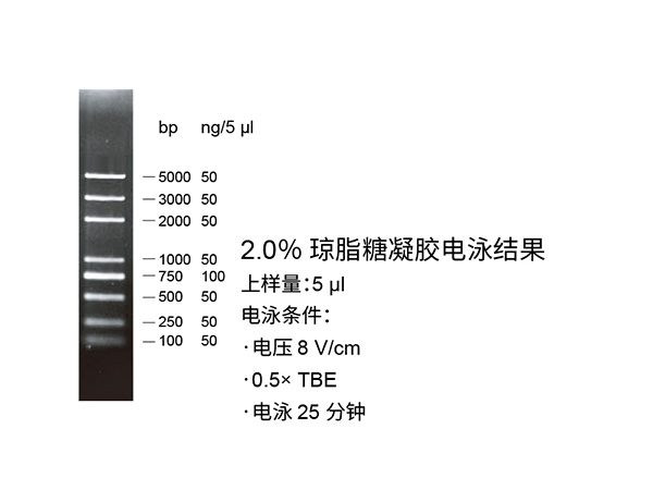 产品细节图片1