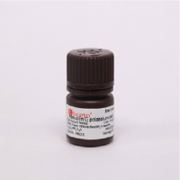 Penicillin G potassium salt 青霉素G钾盐