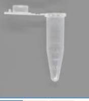 BeyoGold™ 1.5毫升离心管(无色, Nuclease free)