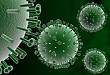 新型冠状病毒抗原蛋白