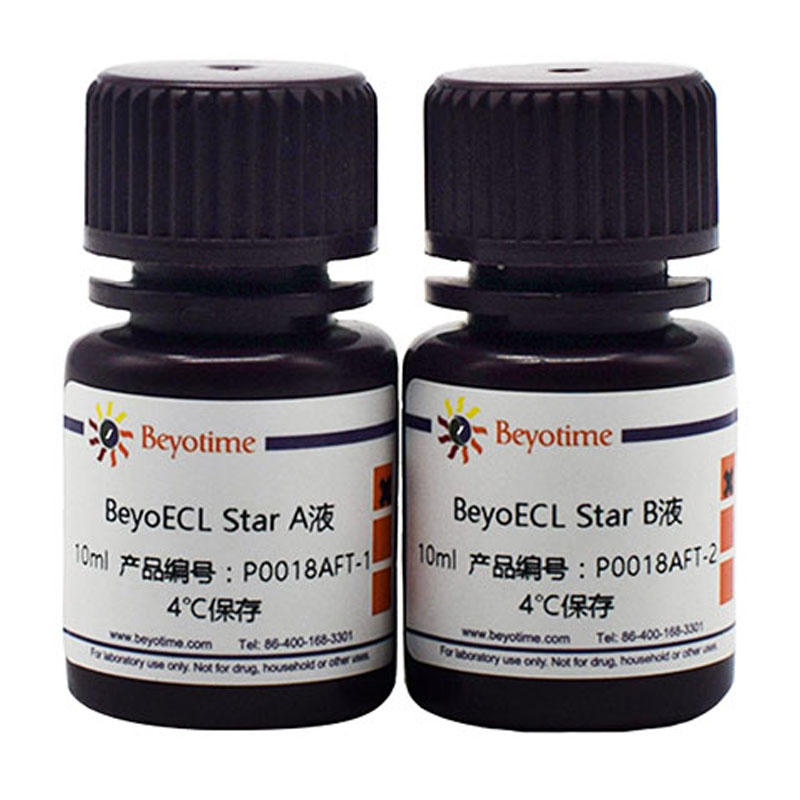 BeyoECL Star (特超敏ECL化学发光试剂盒) (试用装) 