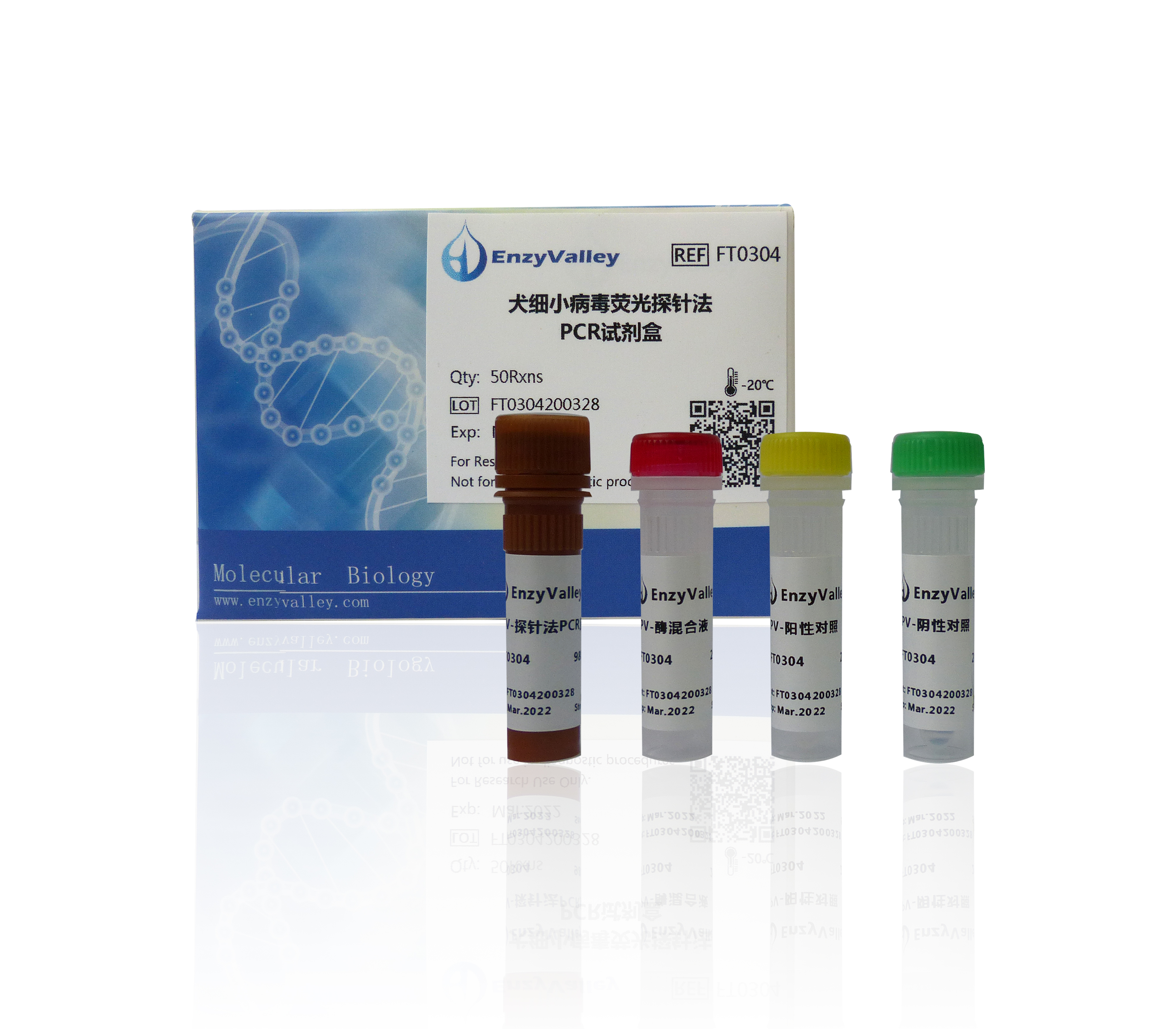 犬细小病毒荧光探针法PCR试剂盒