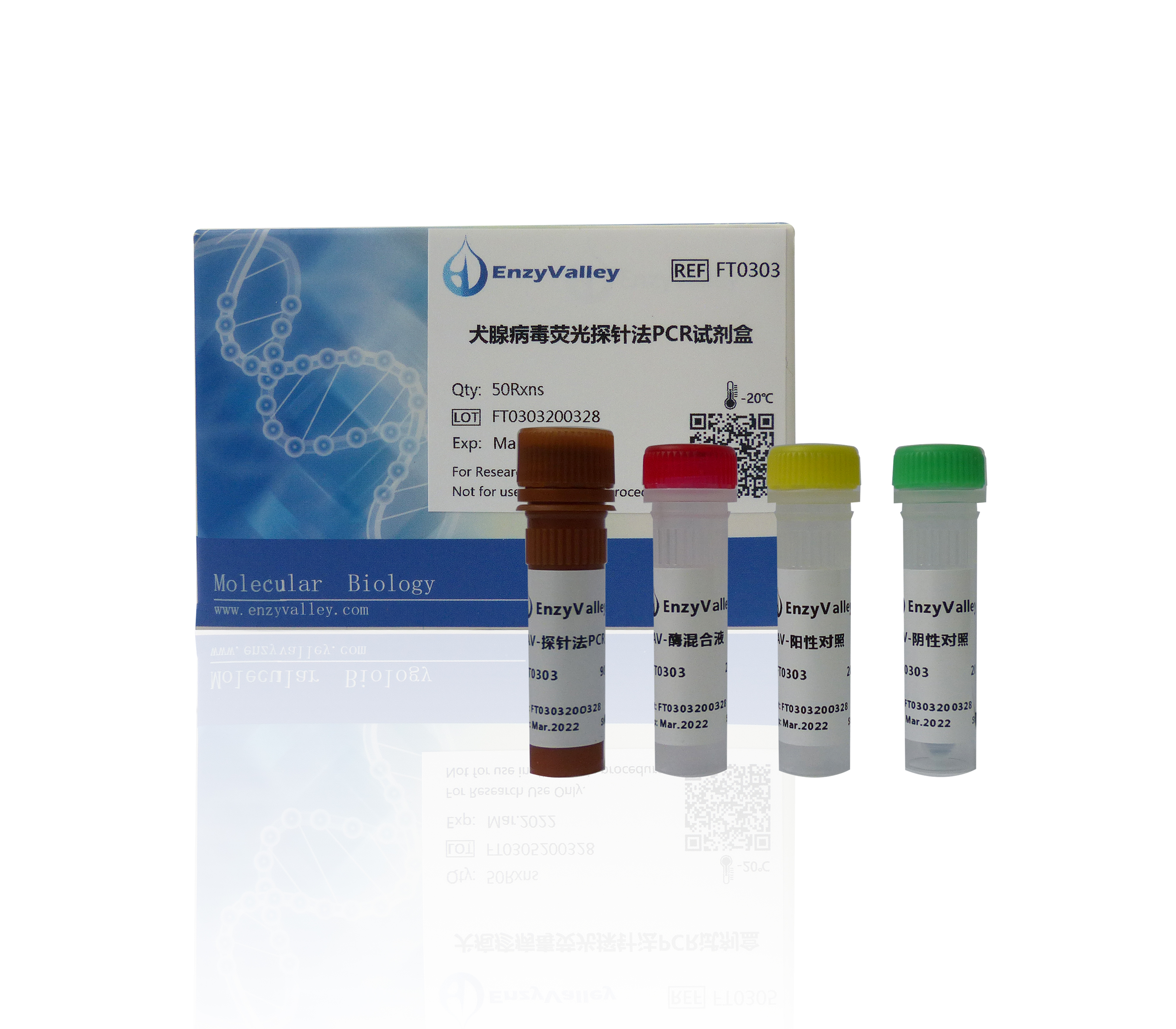 犬腺病毒荧光探针法PCR试剂盒