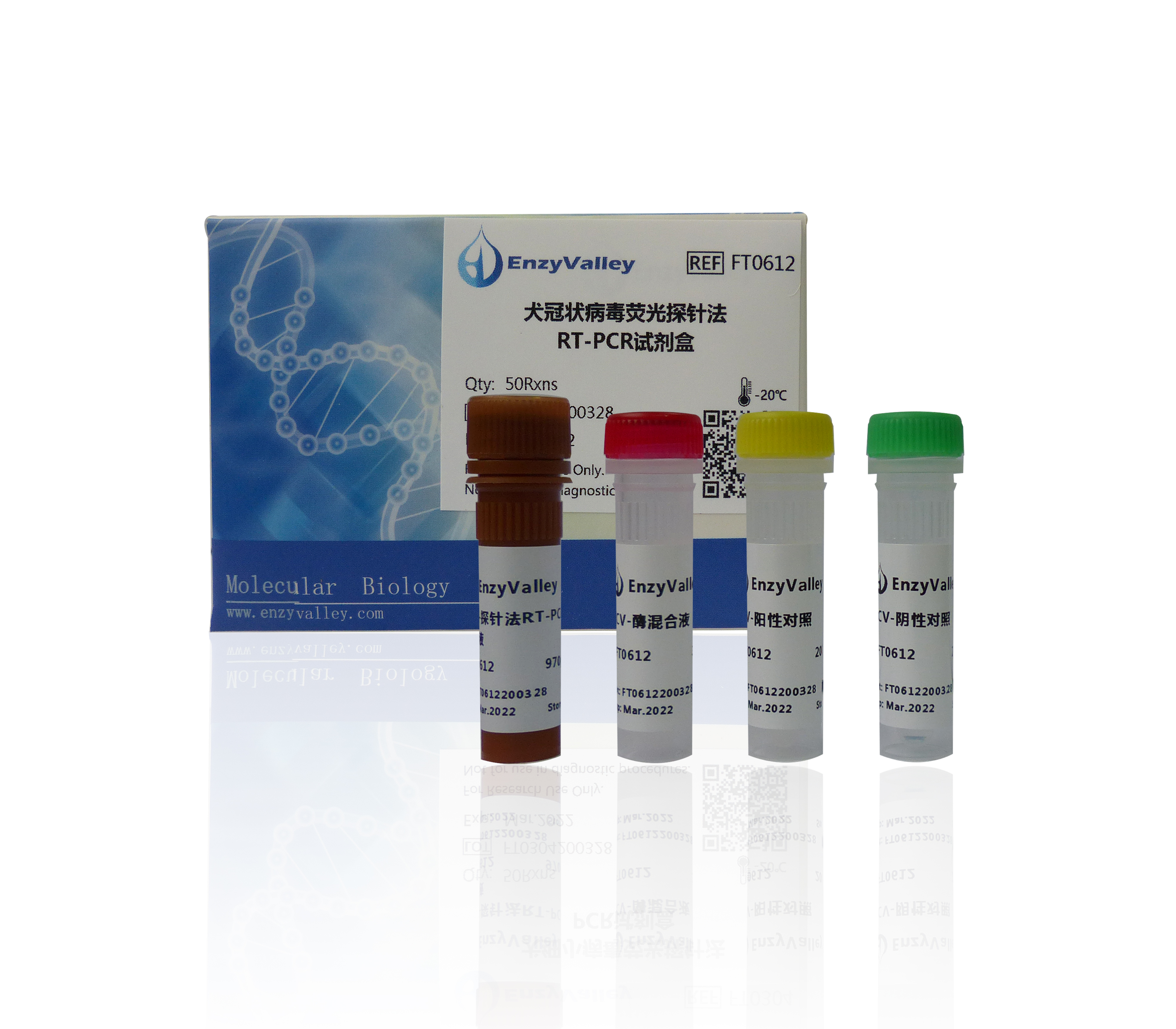 犬冠状病毒荧光探针法RT-PCR试剂盒