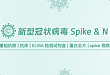 新型冠状病毒 Spike & N