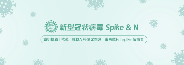 冠状病毒.png