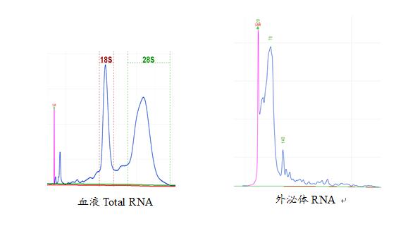 胰腺导管腺癌长链 RNA 标志物的开发—Qsep 质控环节不可少