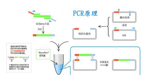 人鼻病毒通用探针法荧光定量PCR试剂盒规格