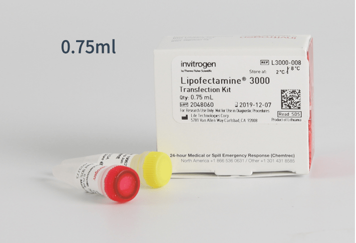 Invitrogen™ Lipofectamine 3000转染试剂 L3000008