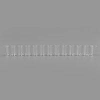 12联检测条(酶标条)